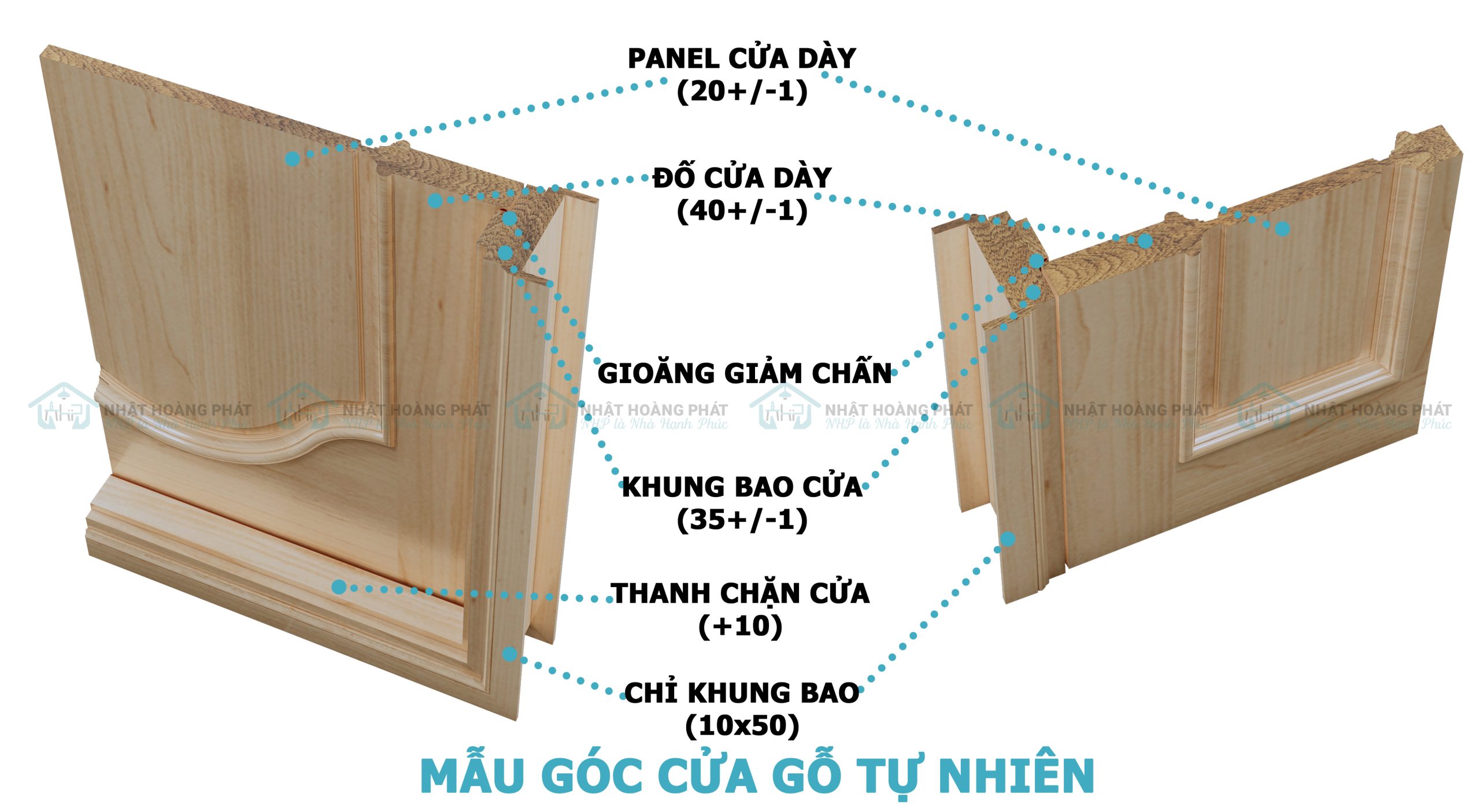 mặt cắt chi tiết cửa gỗ Beech bền đẹp