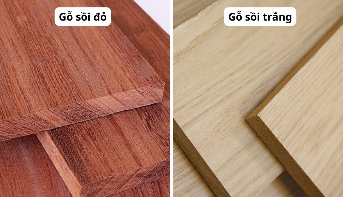 phân biệt gỗ sồi đỏ và gỗ sồi trắng